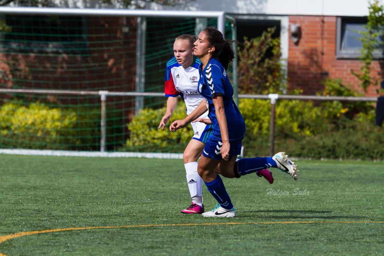 Bild 215 - B-Juniorinnen SV Henstedt Ulzburg - FSC Kaltenkirchen : Ergebnis: 3:2